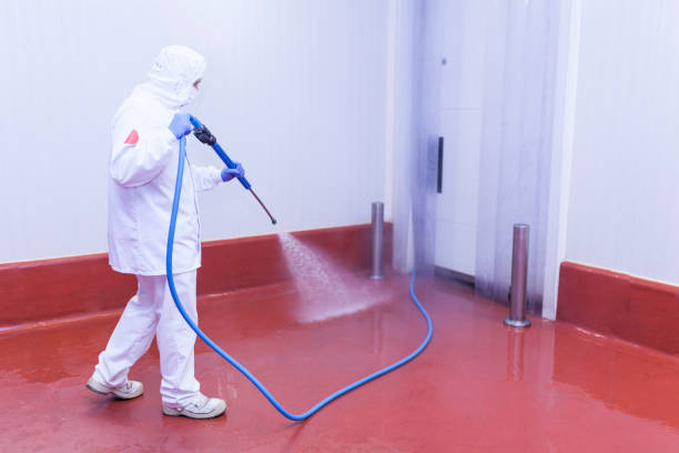 Best Animal Enclosure Cleaning  in Moyie Springs, ID